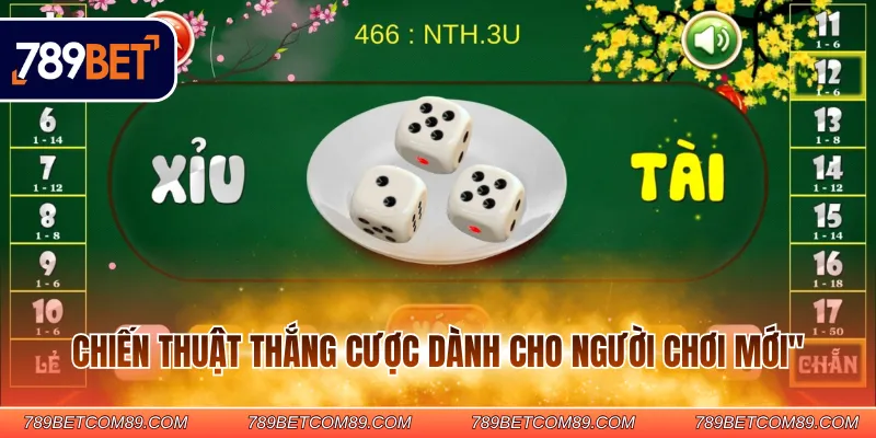 Chiến thuật thắng cược dành cho người chơi mới Chiến thuật thắng cược dành cho người chơi mới