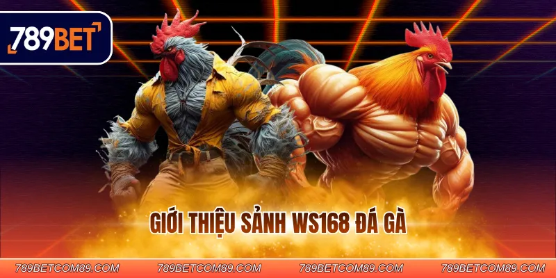Giới thiệu sảnh WS168 đá gà Giới thiệu sảnh WS168 đá gà