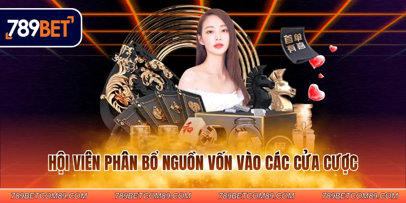 Hội viên phân bổ nguồn vốn vào các cửa cược Hội viên phân bổ nguồn vốn vào các cửa cược