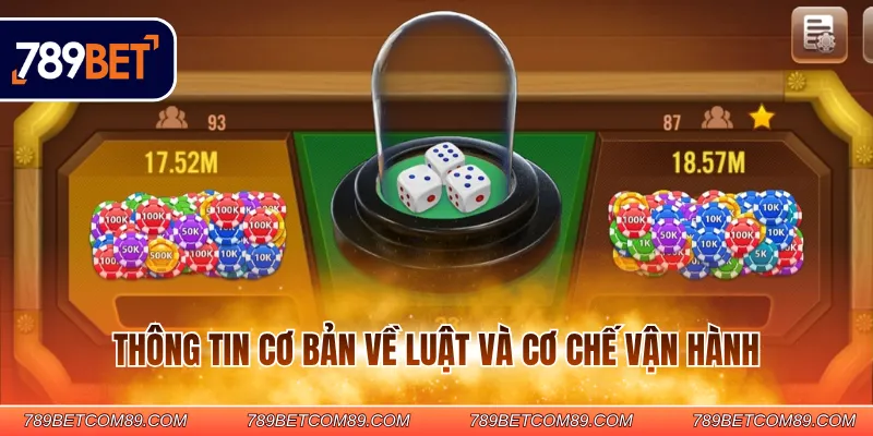 Thông tin cơ bản về luật và cơ chế vận hành Thông tin cơ bản về luật và cơ chế vận hành