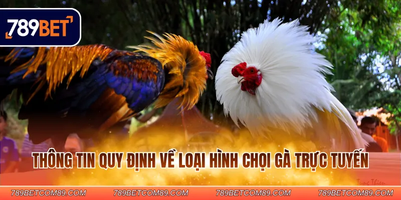 Thông tin quy định về loại hình chọi gà trực tuyến Thông tin quy định về loại hình chọi gà trực tuyến
