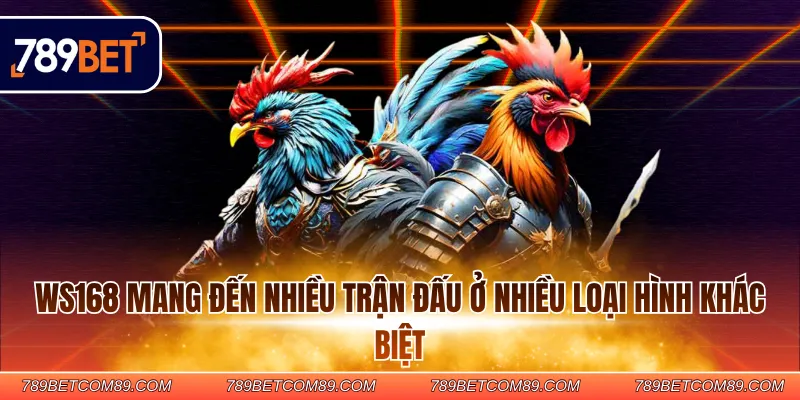 WS168 mang đến nhiều trận đấu ở nhiều loại hình khác biệt WS168 mang đến nhiều trận đấu ở nhiều loại hình khác biệt